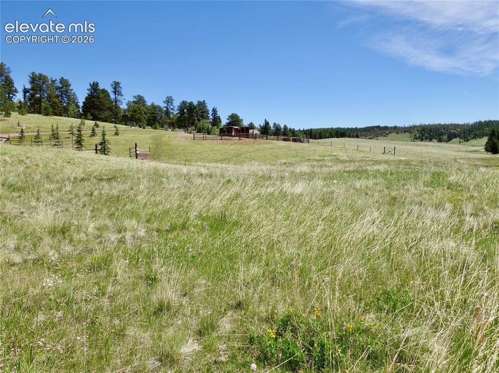 307 Pinaceae Heights Divide, CO 80814 - Photo 3 of 9