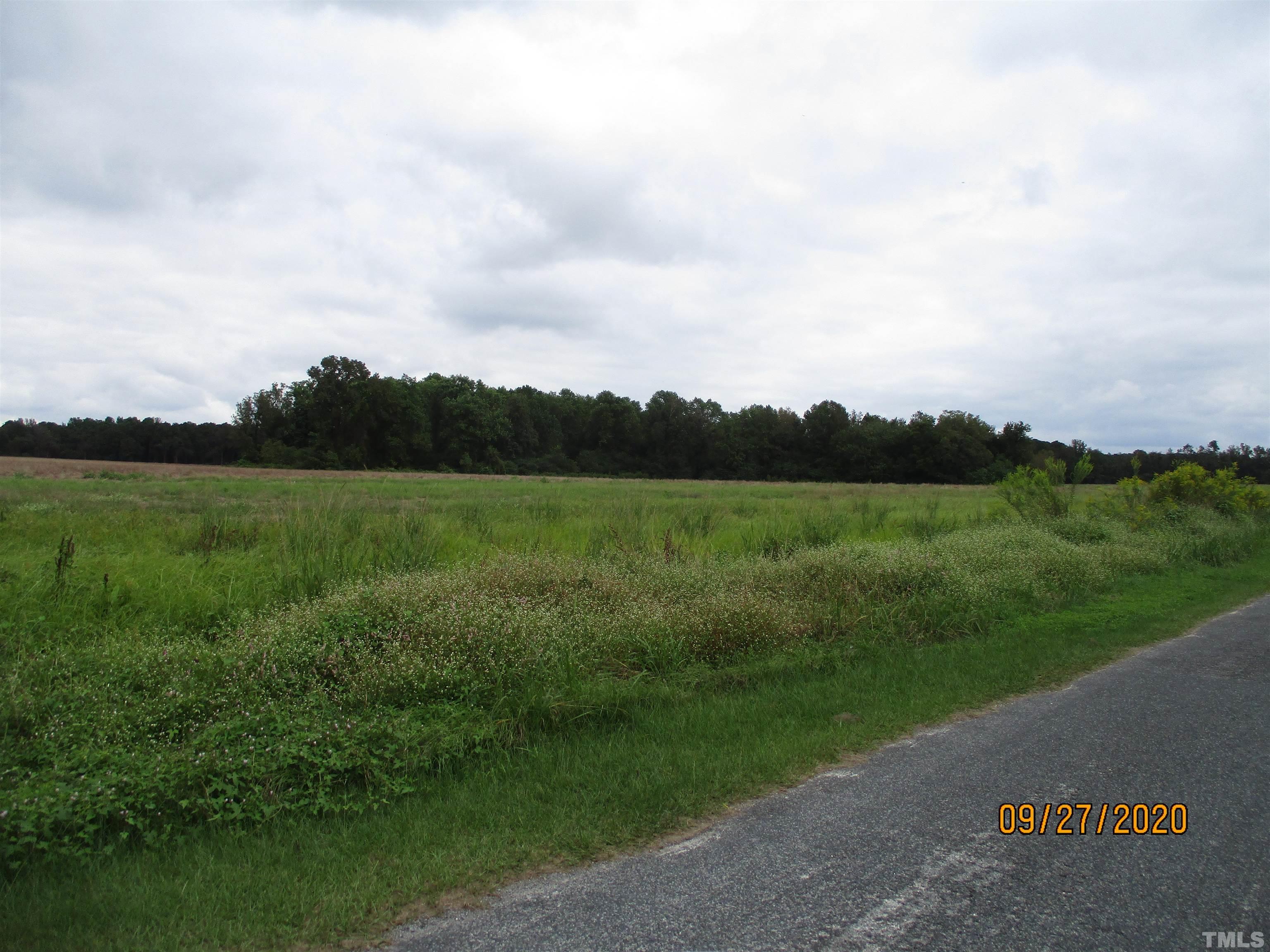 22 Basstown Road Clinton, NC 28328 - Photo 1 of 1 a view of a field with grass and a big trees