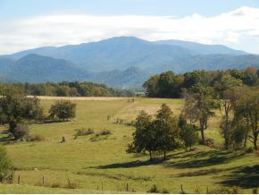 1315 Houston Valley Road Greeneville, TN 37743 - Photo 19 of 22 Photo 19