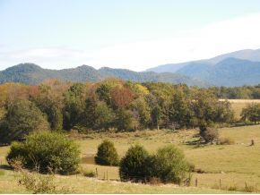 1315 Houston Valley Road Greeneville, TN 37743 - Photo 20 of 22 Photo 20