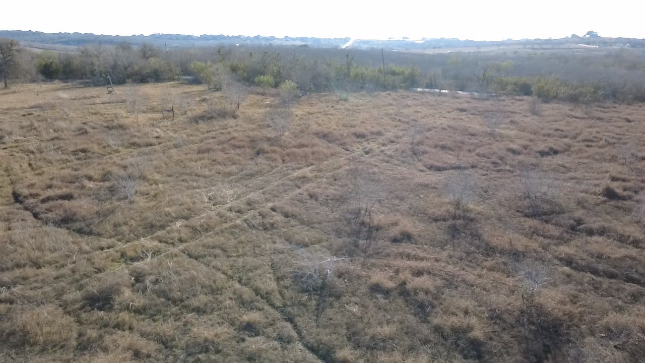 a view of a dry field with trees in the background