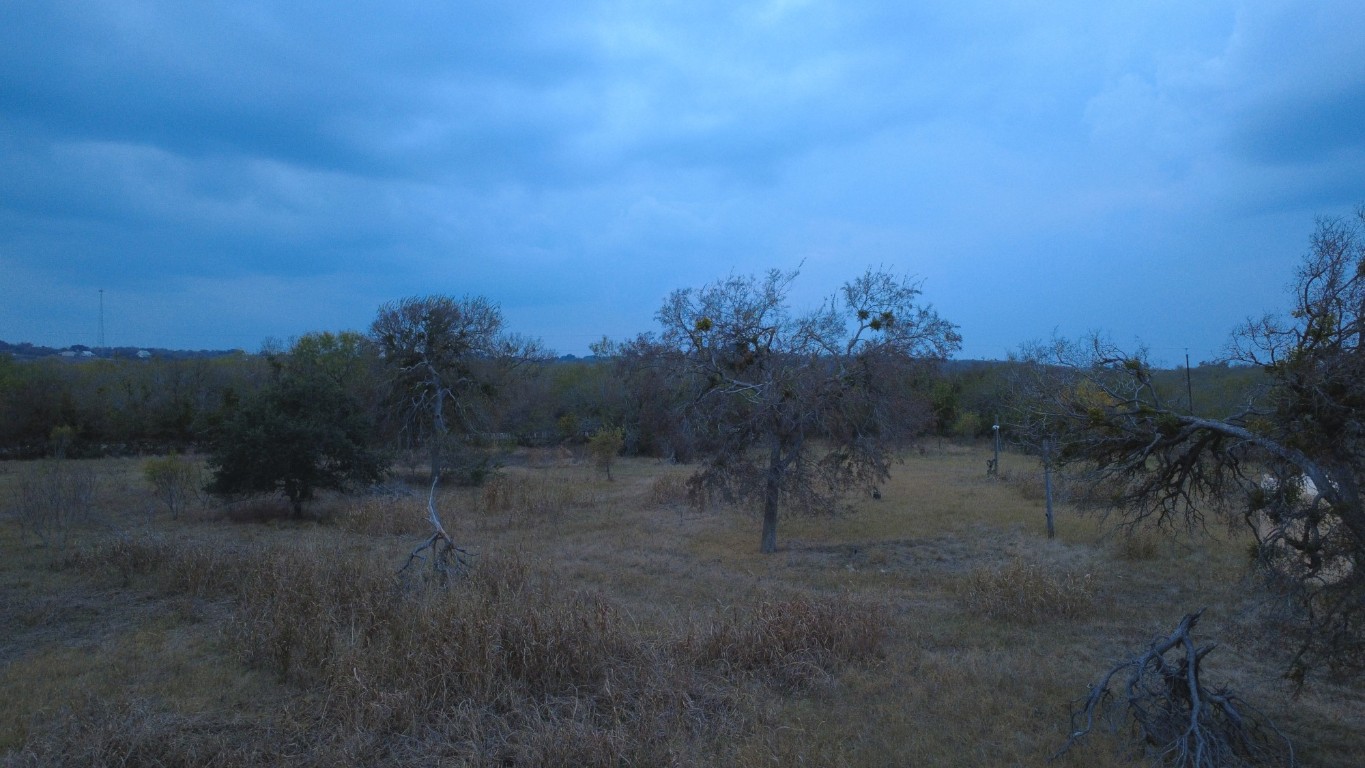 Tbd Tbd Wade Road Kingsbury, TX 78638 - Photo 5 of 6 a view of a yard with a tree