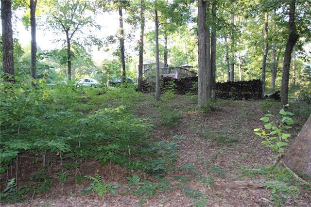 2474 Cypress Road Buchanan, TN 38222 - Photo 20 of 20 Side street view. Again, trees and shrubs to allow privacy. The corner property has frontage on 2 streets.