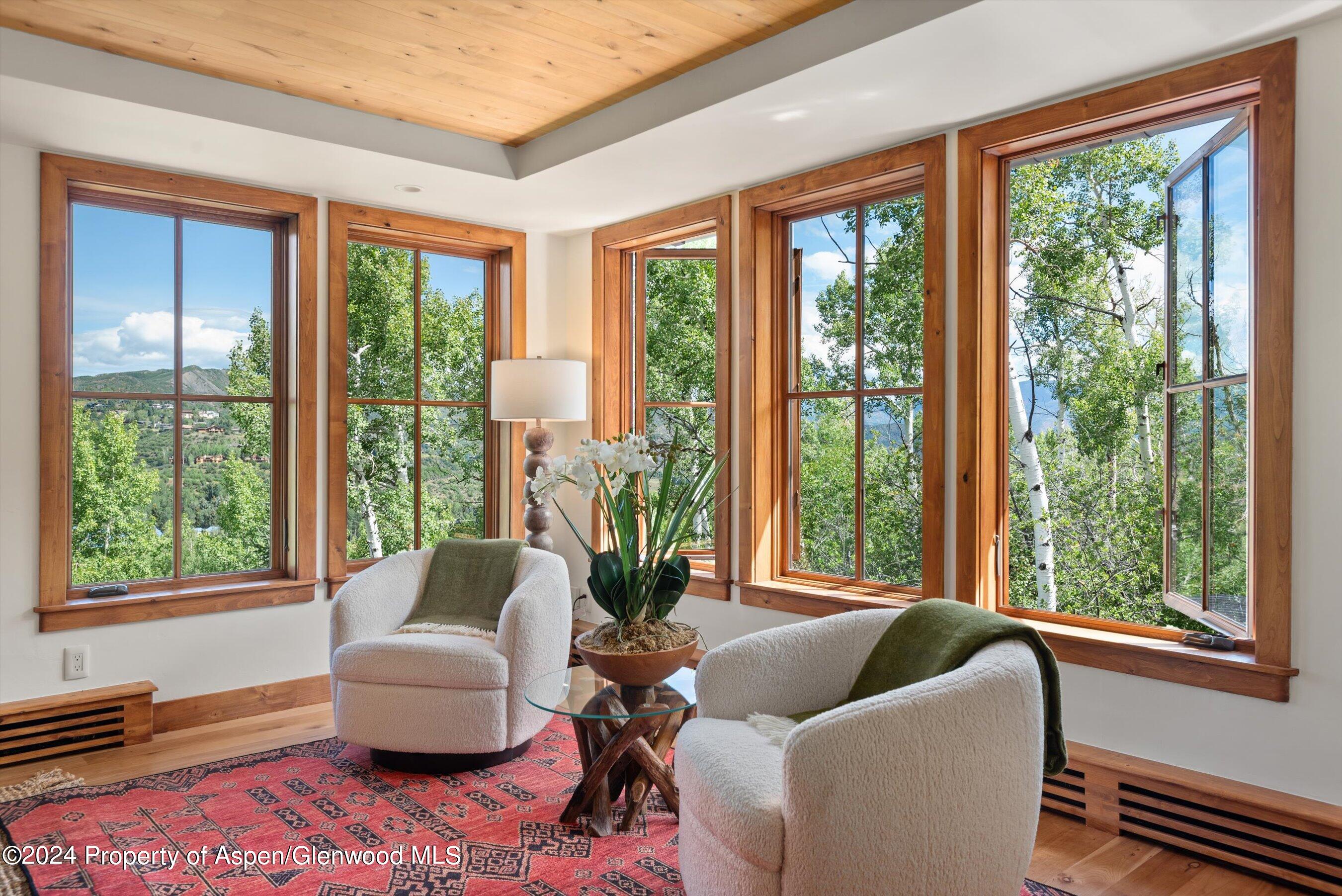 71 North Ridge Lane Snowmass Village, CO 81615 - Photo 15 of 67 14-71NRidgeLn_24081611