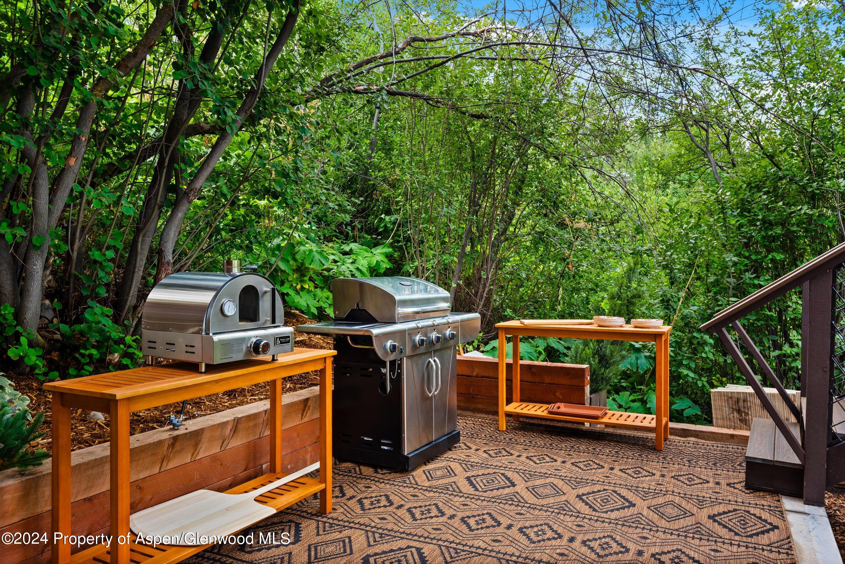 71 North Ridge Lane Snowmass Village, CO 81615 - Photo 60 of 67 36-71NRidgeLn_24081639