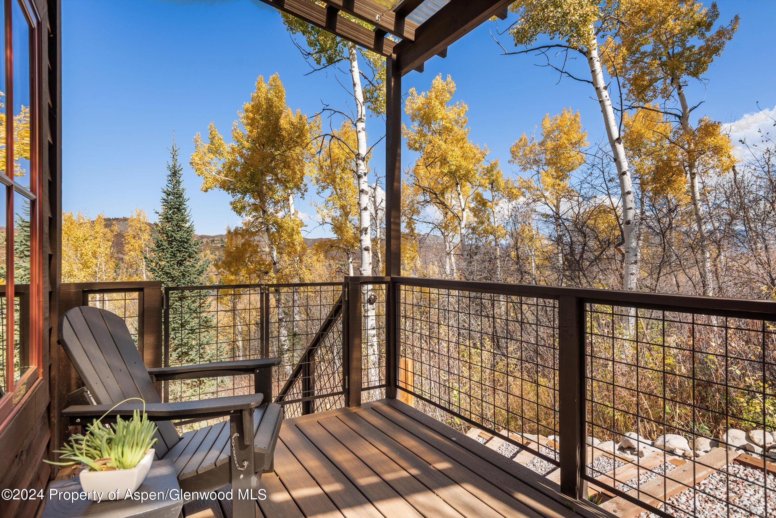 71 North Ridge Lane Snowmass Village, CO 81615 - Photo 63 of 67 37-71NRidgeLn_241015043