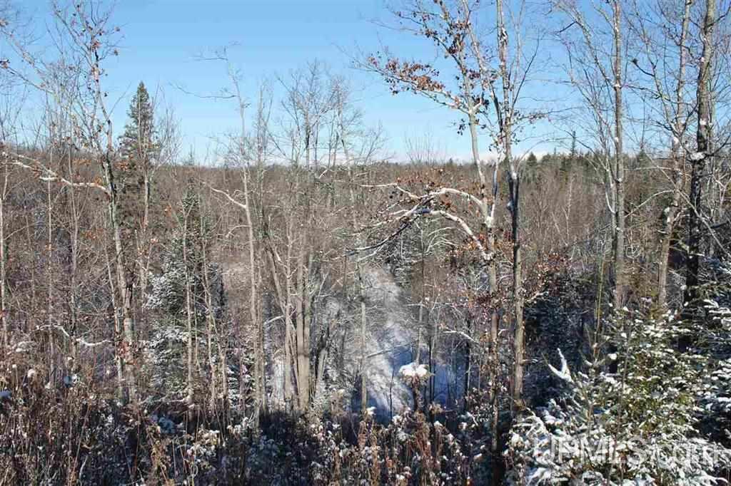 Tbd Harmony Farms Road Ontonagon, MI 49953 - Photo 2 of 2