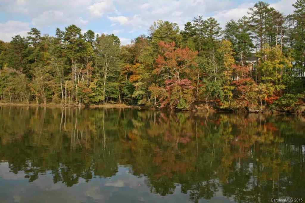 559 Placid Court Tega Cay, SC 29708 - Photo 3 of 3 a view of lake
