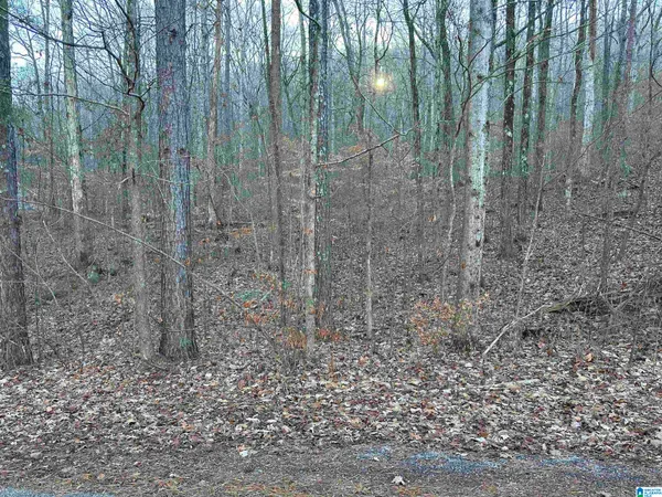 $20,000 | 0 Valley Lane, Warrior, AL 35180