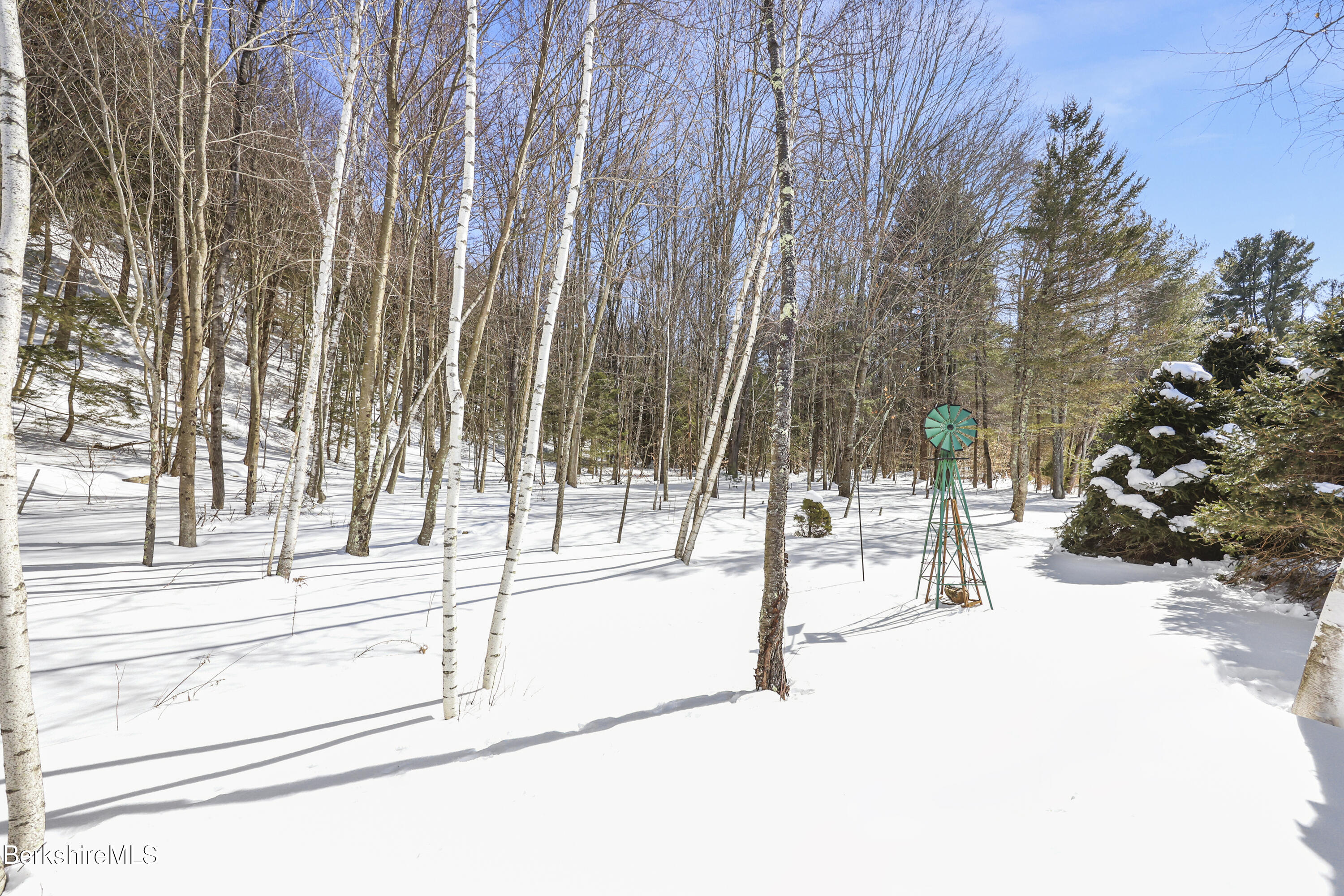 581 Red Barn Road Dalton, MA 01226 - Photo 7 of 65 a view of a park with trees