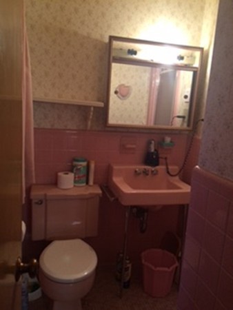 102 Crestview Road Belmont, MA 02478 - Photo 15 of 18 Gallery Image 15