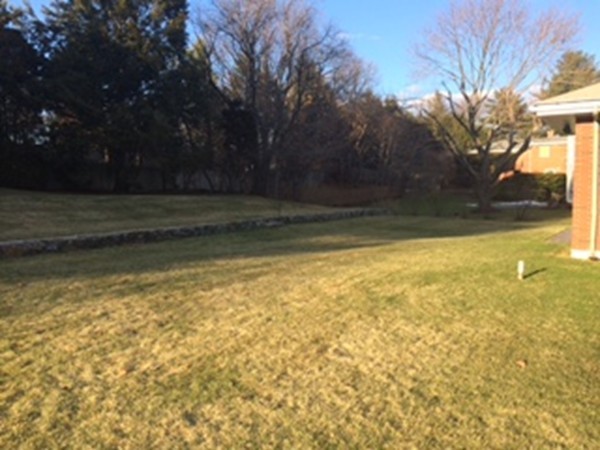 102 Crestview Road Belmont, MA 02478 - Photo 16 of 18 Gallery Image 16