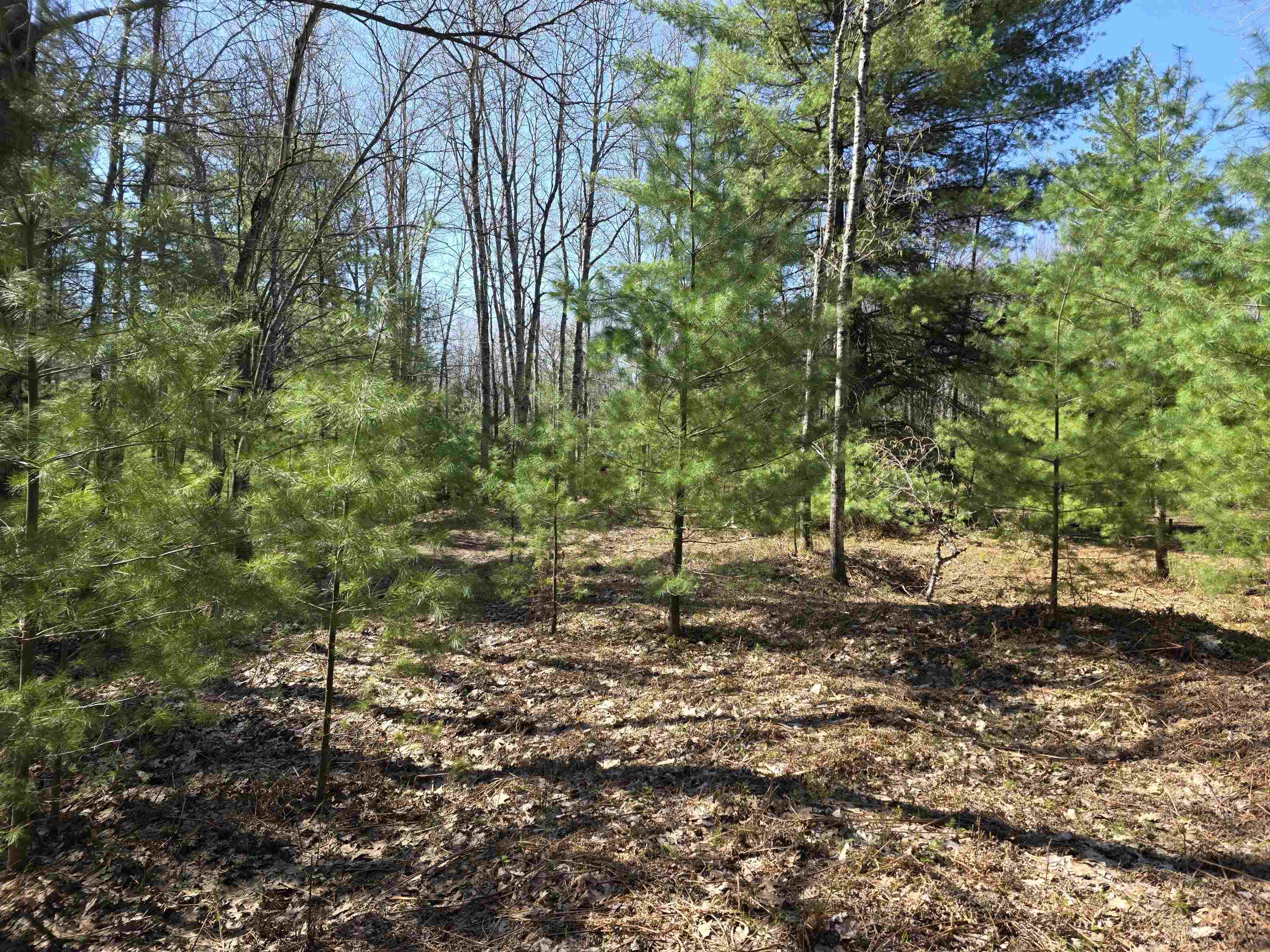 7299 North Truesdale Road Manton, MI 49663 - Photo 32 of 51