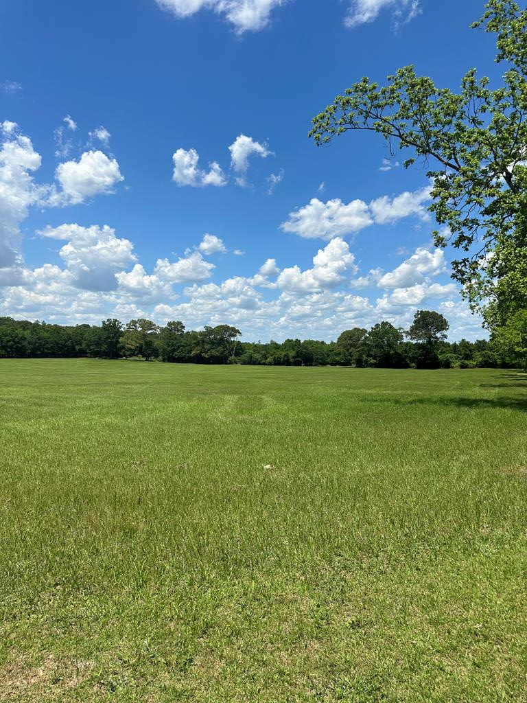 3845 Old Atmore Road Flomaton, AL 36441 - Photo 1 of 9
