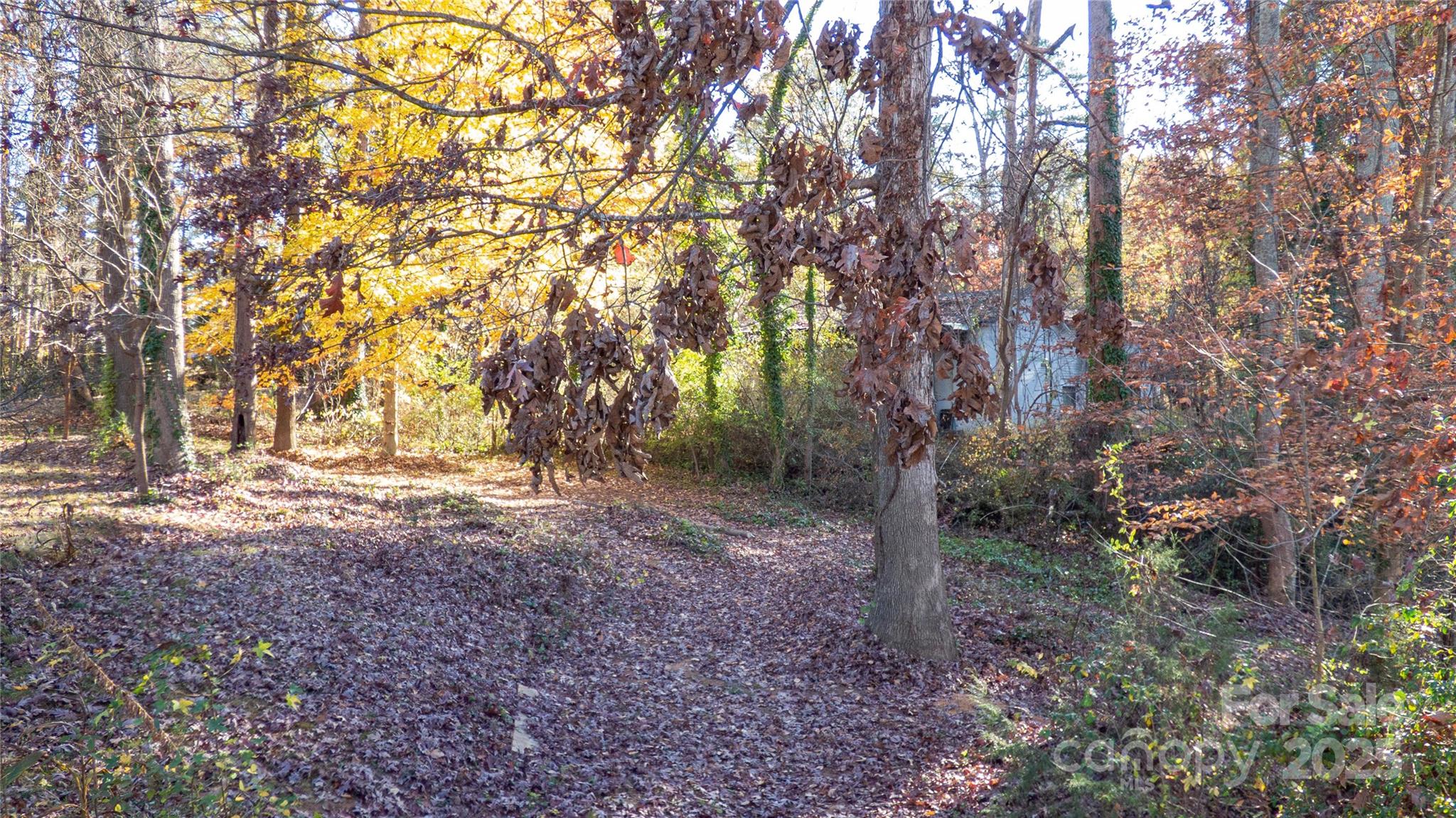 4626 McClure Road Charlotte, NC 28216 - Photo 14 of 19 Gallery Image 14