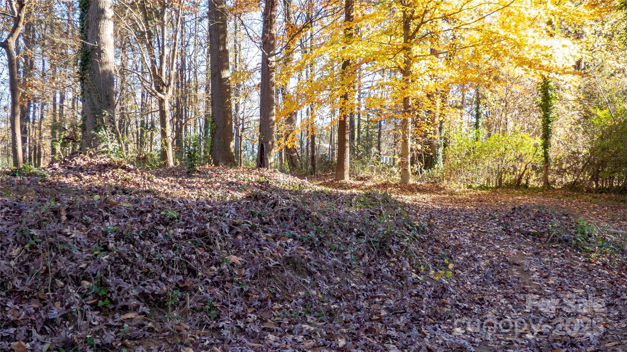 4626 McClure Road Charlotte, NC 28216 - Photo 17 of 19 Gallery Image 17