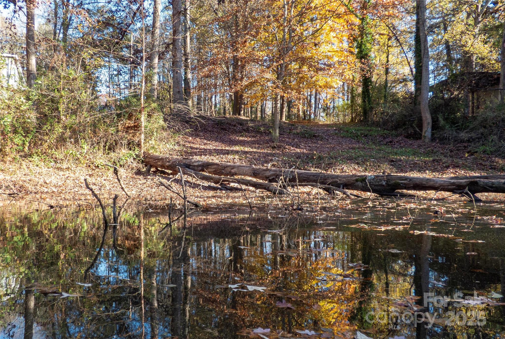 4626 McClure Road Charlotte, NC 28216 - Photo 10 of 19 Gallery Image 10