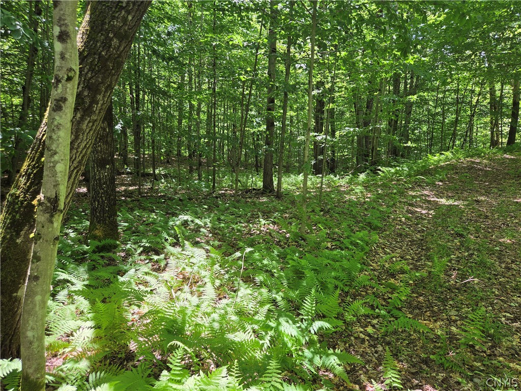 River Road Port Leyden, NY 13433 - Photo 2 of 12