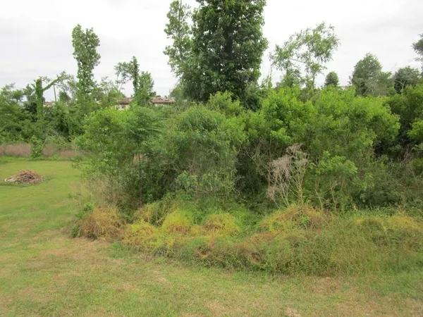 $26,189 | 192 Maple Cove, Onalaska, TX 77360