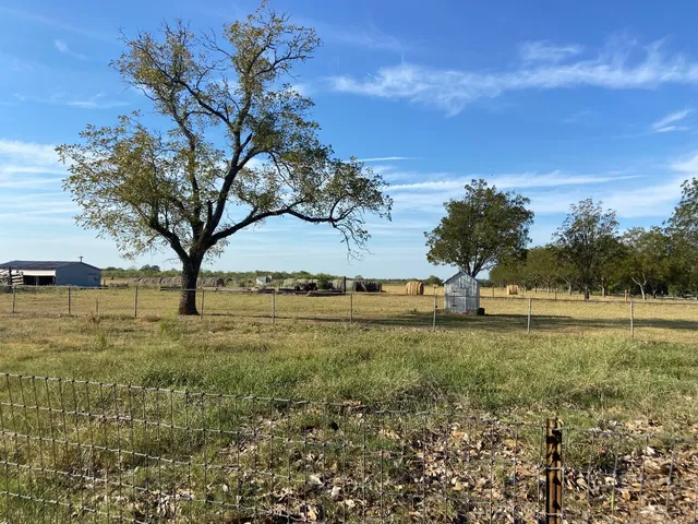 a view of field with large trees