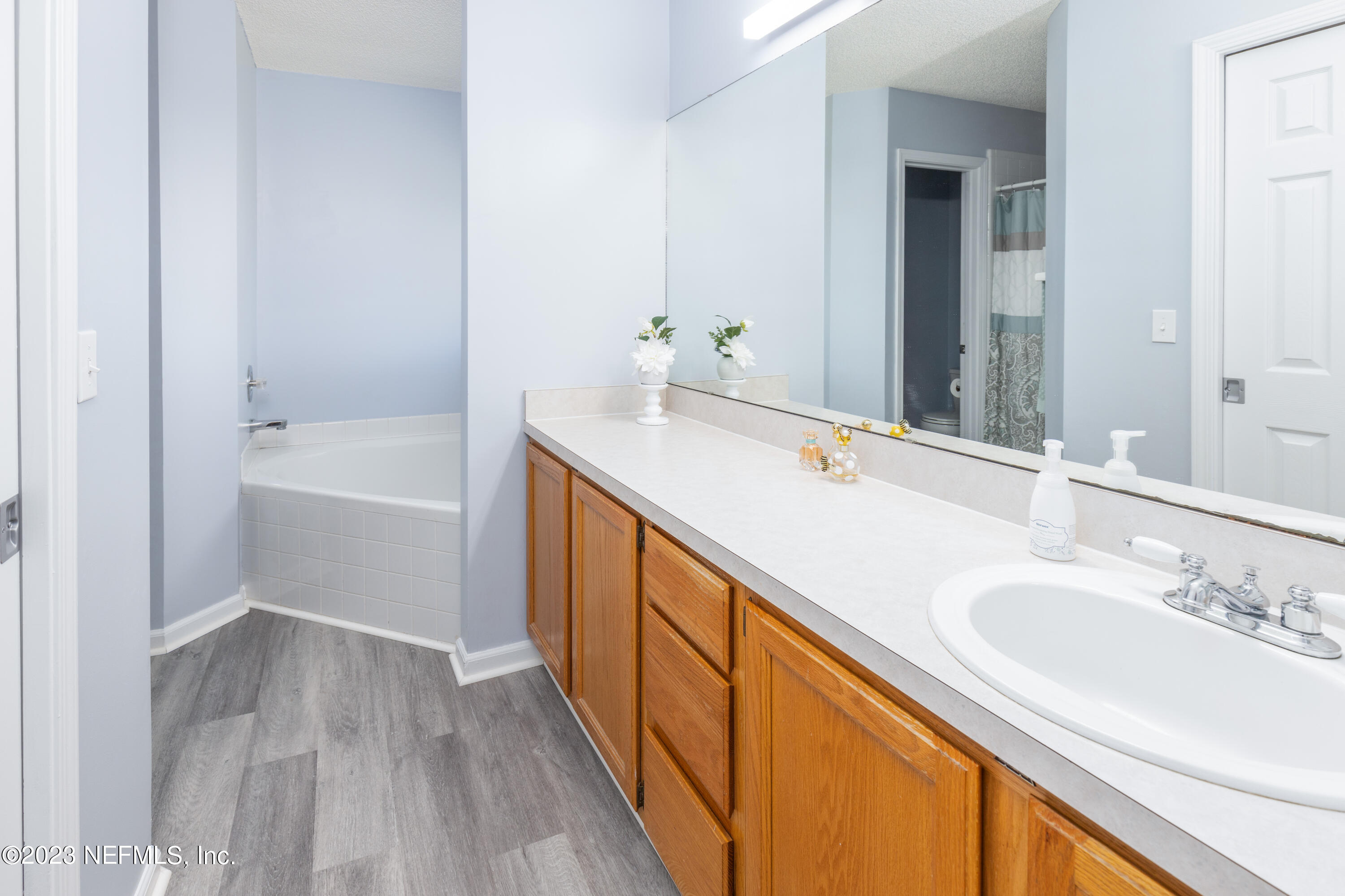 9698 Pritmore Road East Jacksonville, FL 32257 - Photo 13 of 28 a bathroom with a sink a tub and a mirror
