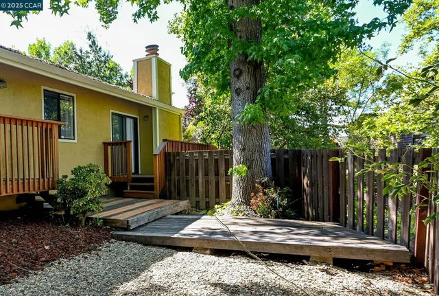 a view of a backyard with plants and large tree