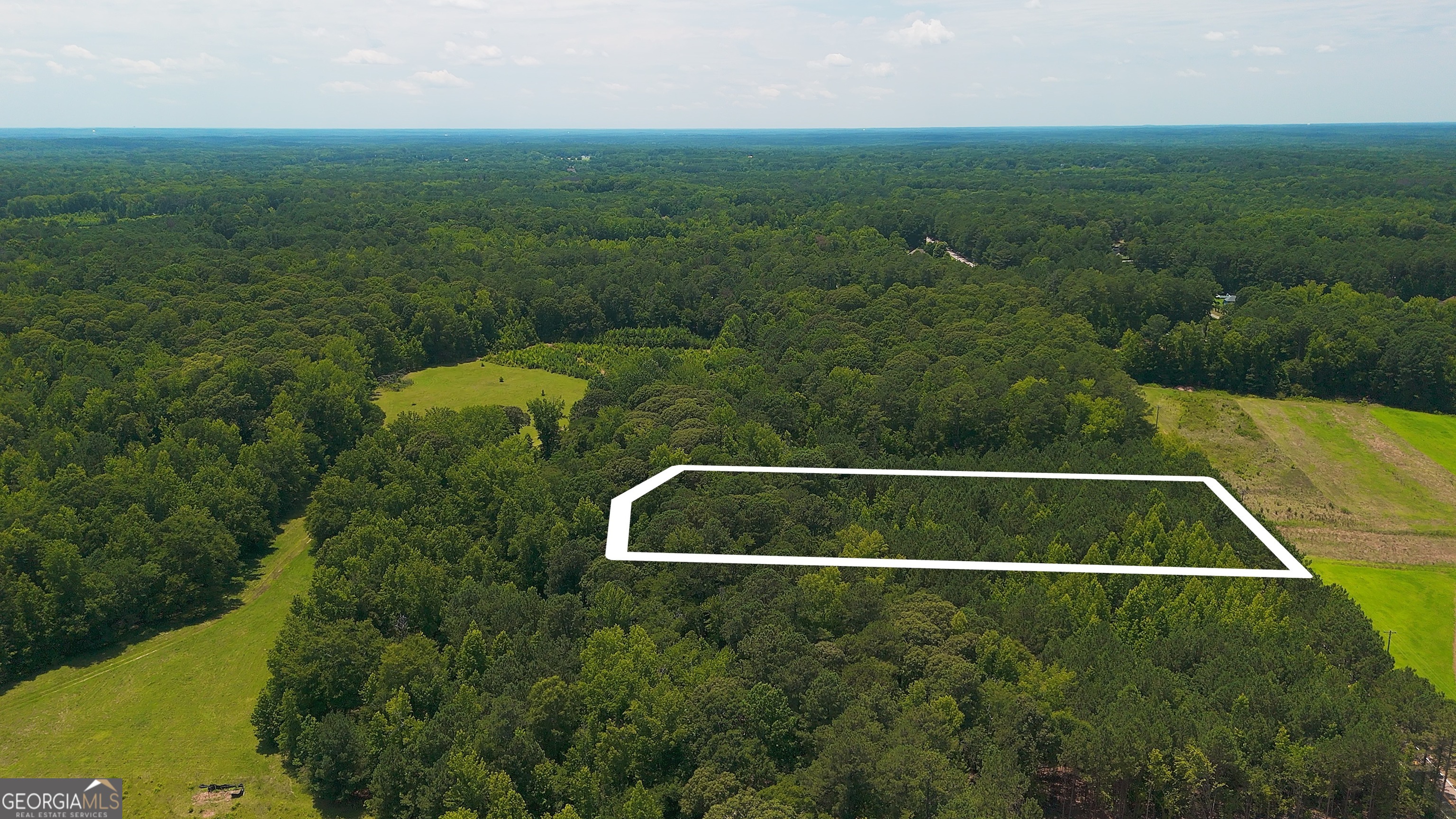 0 Mcbride Road Fayetteville, GA 30215 - Photo 8 of 10