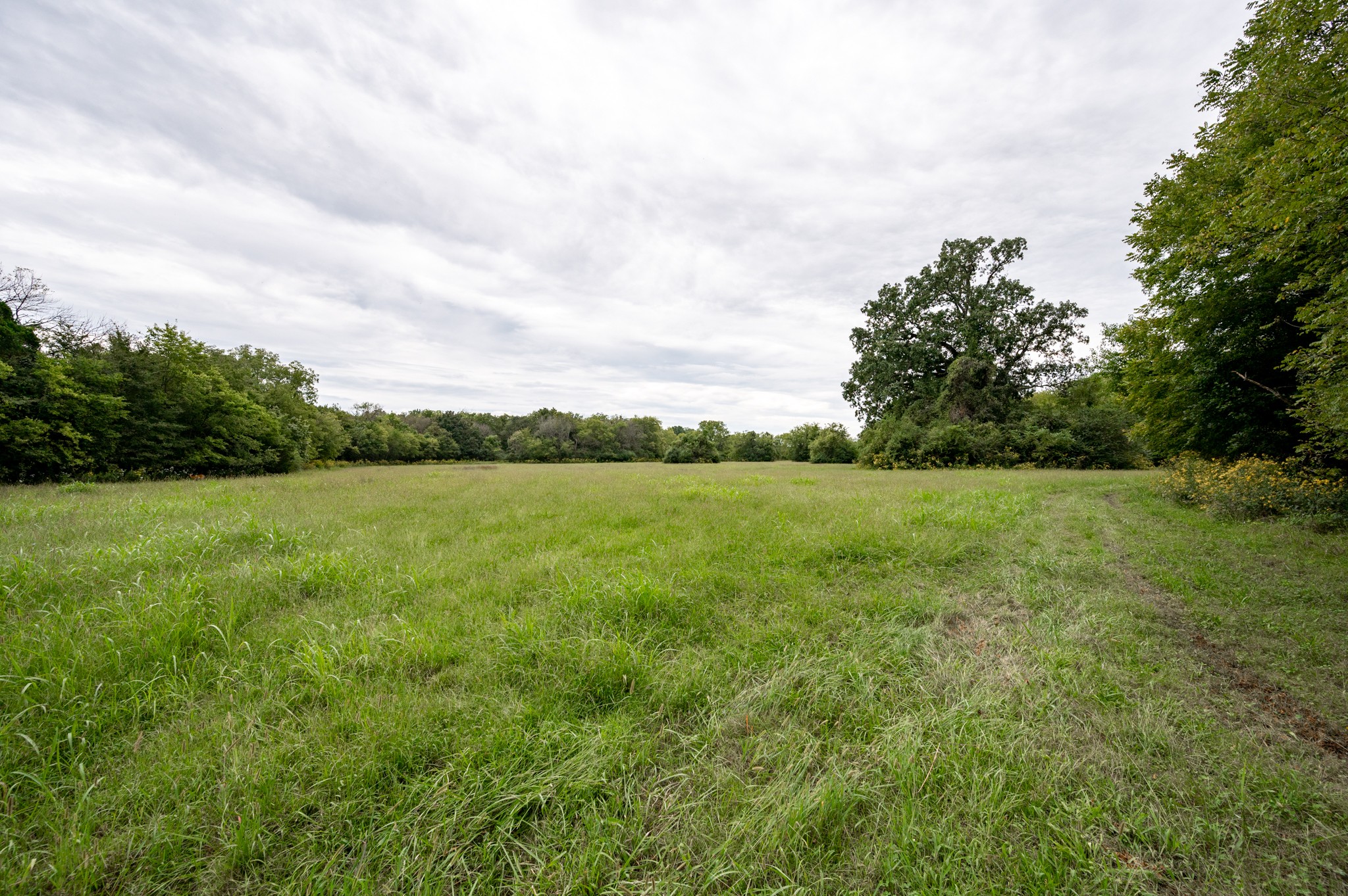 2 Rock Springs Midland Road Christiana, TN 37037 - Photo 3 of 18 Gallery Image 3