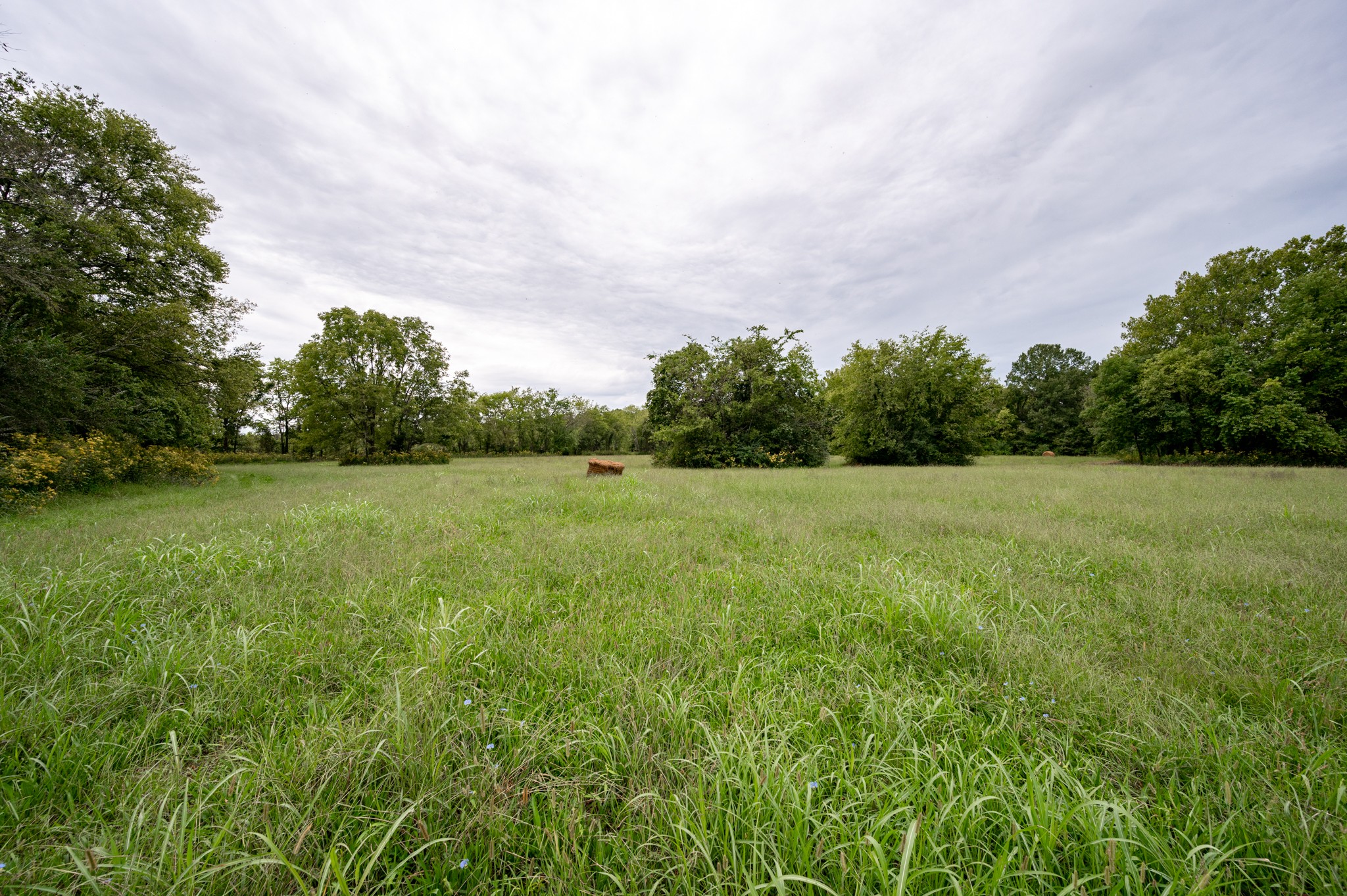 2 Rock Springs Midland Road Christiana, TN 37037 - Photo 5 of 18 Gallery Image 5