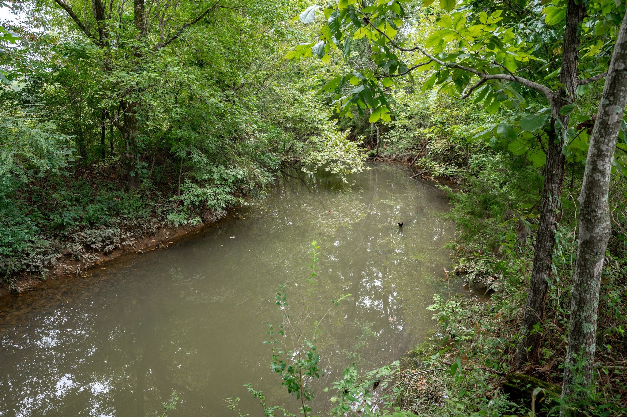 2 Rock Springs Midland Road Christiana, TN 37037 - Photo 6 of 18 Gallery Image 6