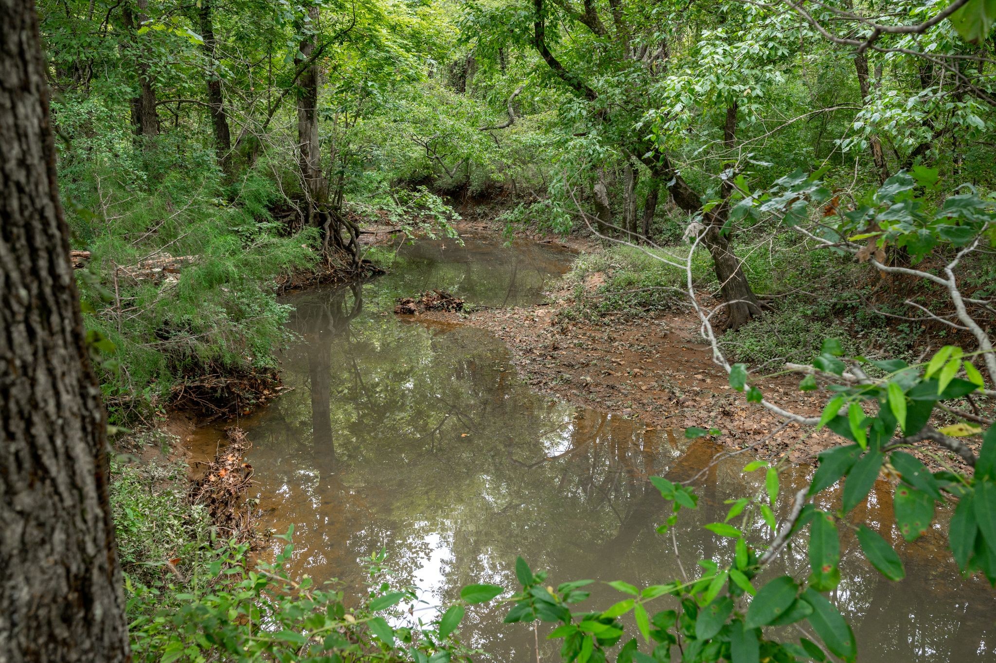 2 Rock Springs Midland Road Christiana, TN 37037 - Photo 7 of 18 Gallery Image 7
