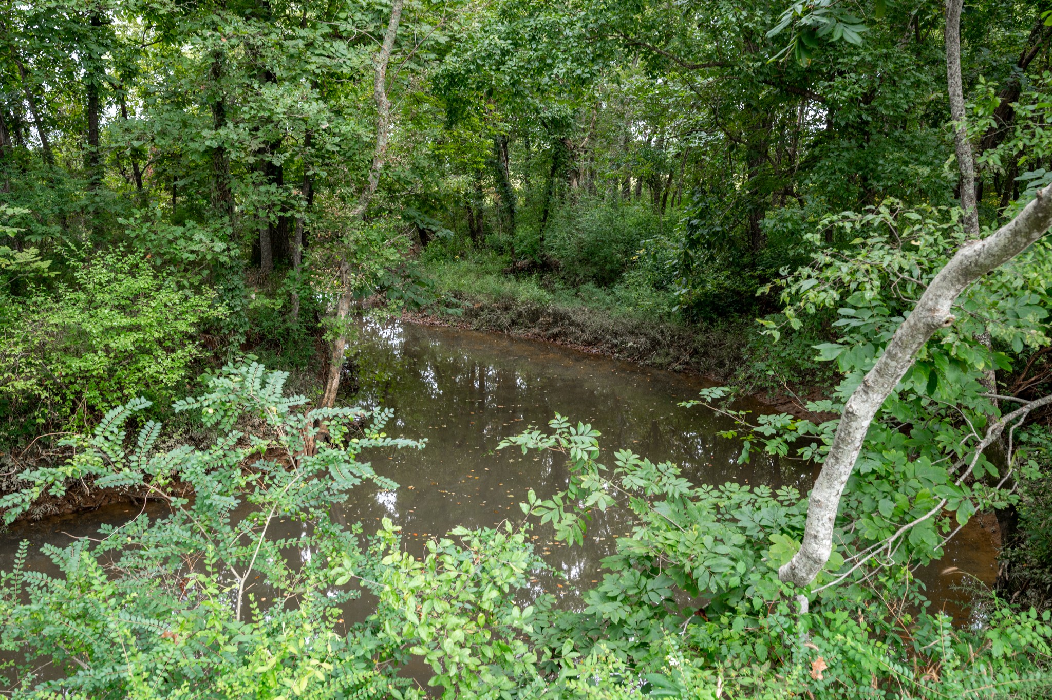 2 Rock Springs Midland Road Christiana, TN 37037 - Photo 8 of 18 Gallery Image 8