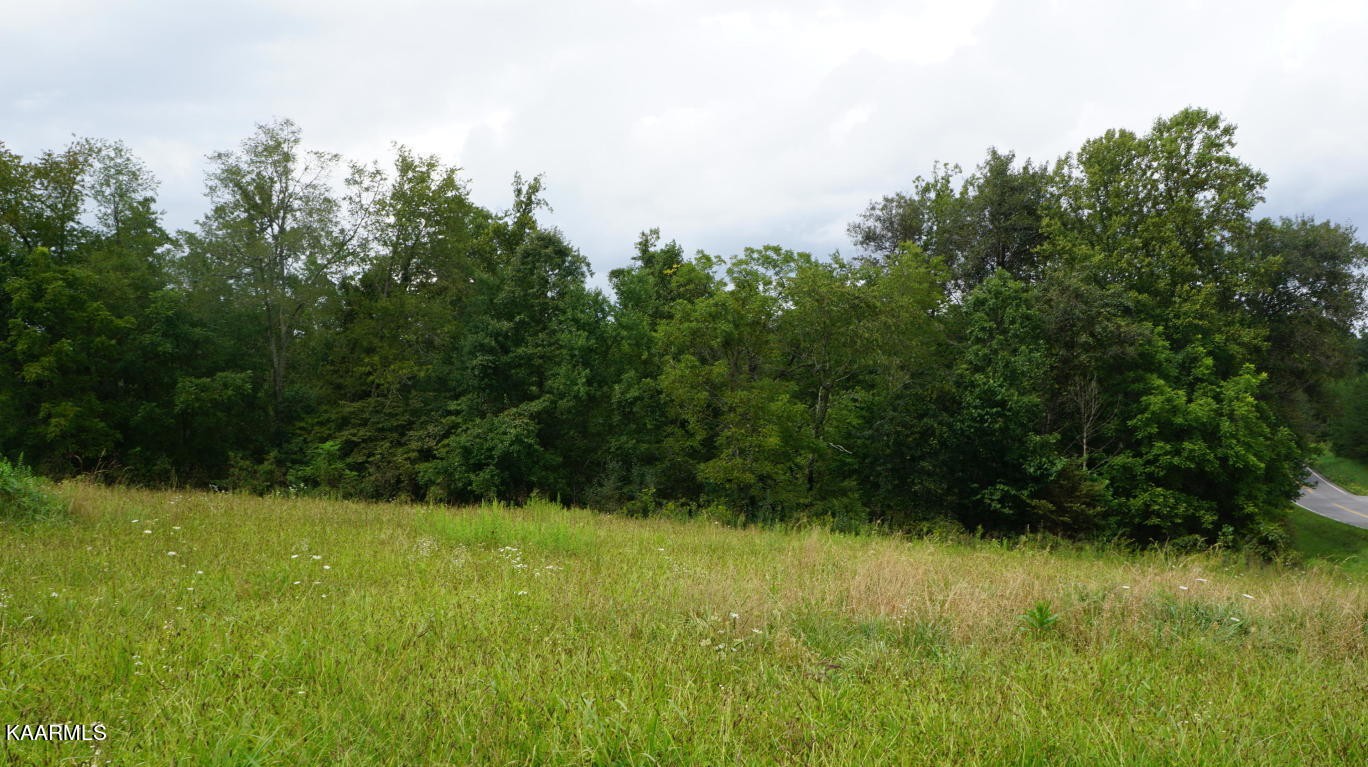 14902 Lantana Road Crossville, TN 38572 - Photo 12 of 16 Gallery Image 12