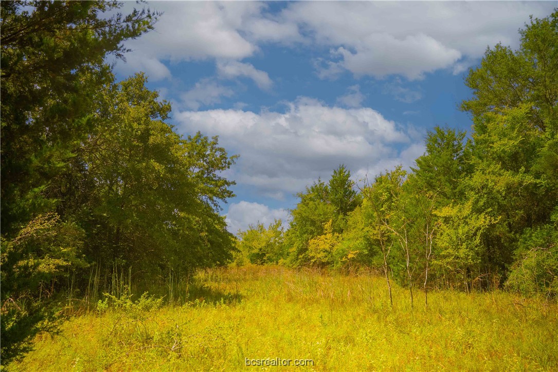 5115-n State Highway Hearne, TX 77859 - Photo 11 of 12 a view of a lake