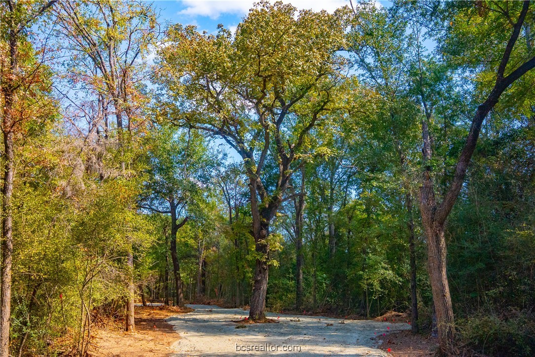 5115-n State Highway Hearne, TX 77859 - Photo 2 of 12 a view of a yard with plants and trees