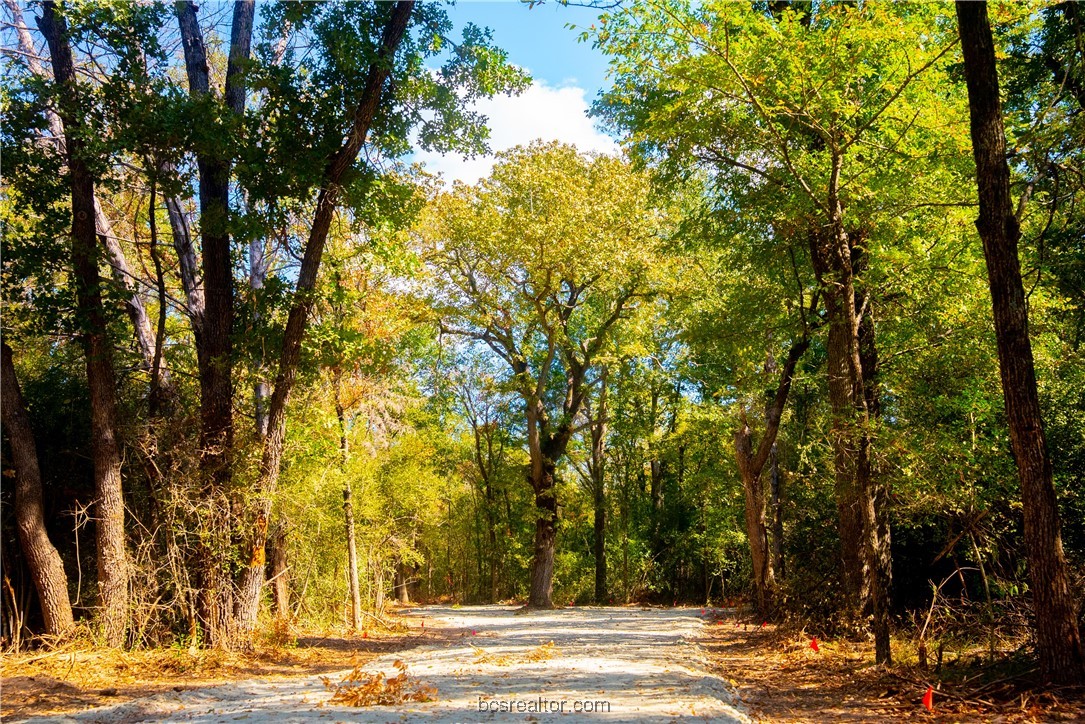 5115-n State Highway Hearne, TX 77859 - Photo 4 of 12 a view of a yard with large trees