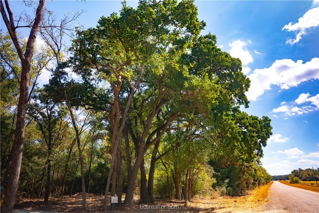 5115-n State Highway Hearne, TX 77859 - Photo 5 of 12 a view of road with covered with trees
