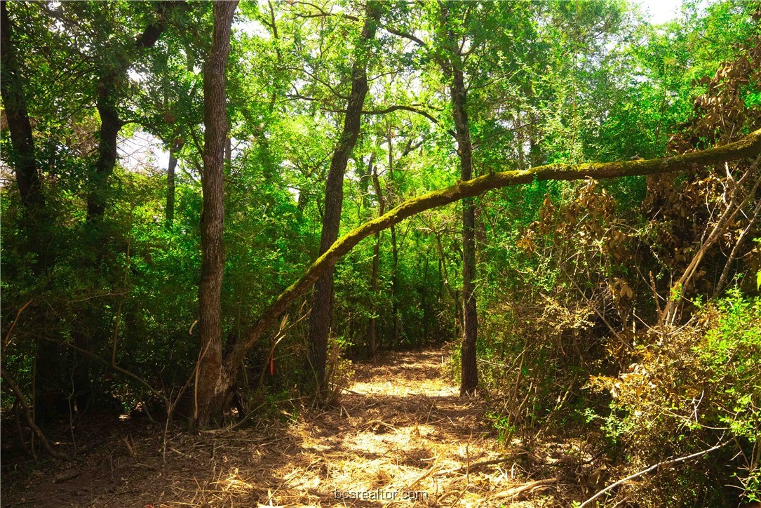 5115-n State Highway Hearne, TX 77859 - Photo 6 of 12 a backyard of a house with lots of green space
