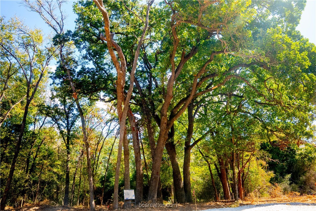 5115-n State Highway Hearne, TX 77859 - Photo 7 of 12 a view of large trees