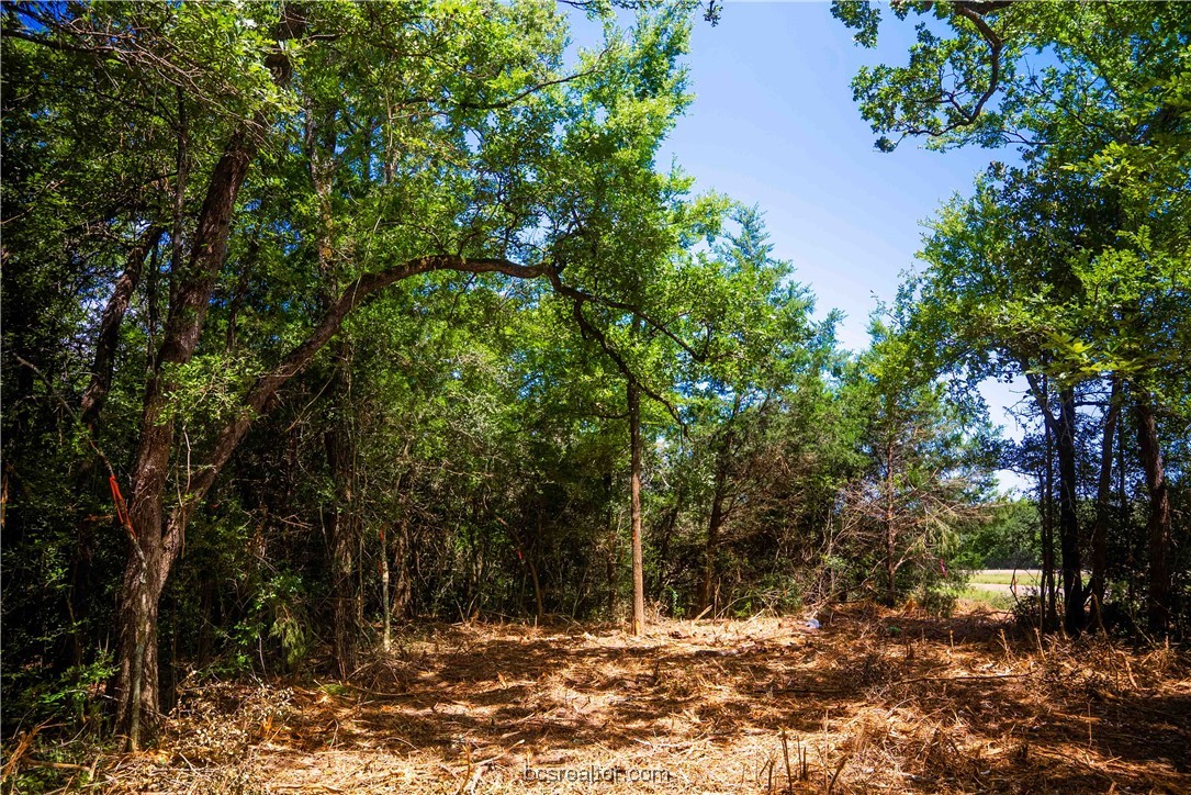 5115-n State Highway Hearne, TX 77859 - Photo 10 of 12