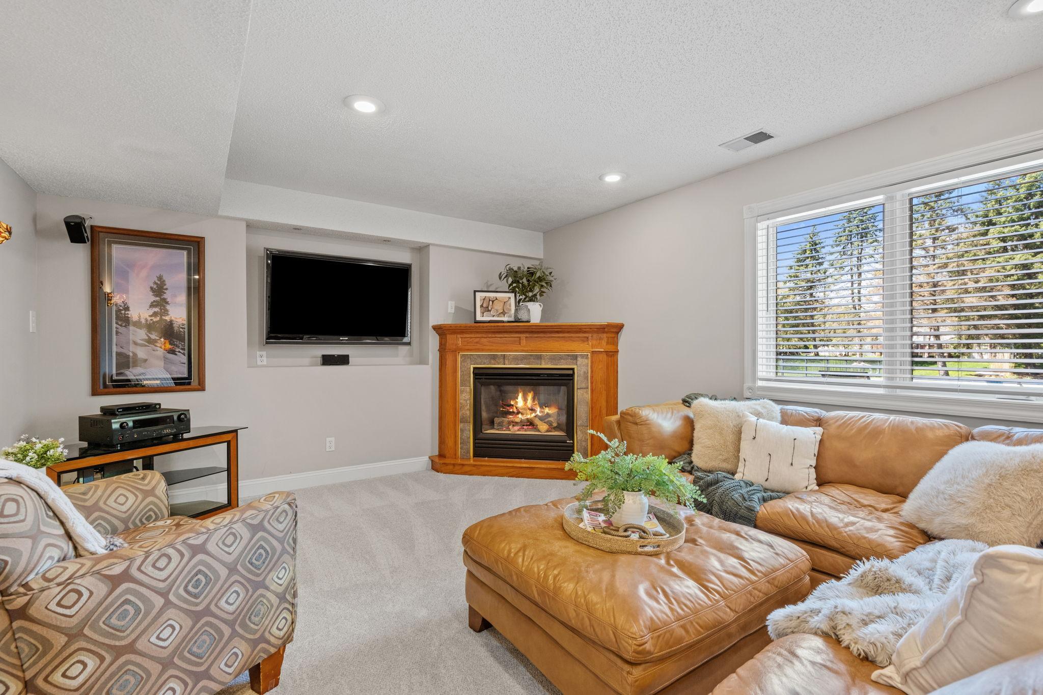 11239 Apennine Way Inver Grove Heights, MN 55077 - Photo 51 of 65