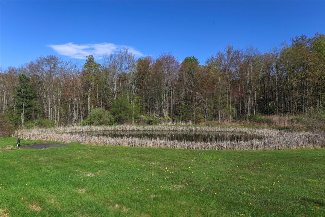 1053 Chambers Road Catlin, NY 14845 - Photo 49 of 50