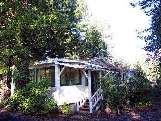 13115 Dupont Road Sebastopol, CA 95472 - Photo 1 of 10 a view of a house with backyard and sitting area