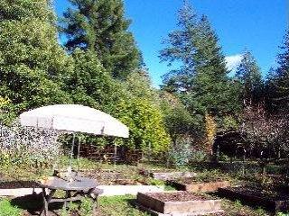 13115 Dupont Road Sebastopol, CA 95472 - Photo 3 of 10 a view of a backyard