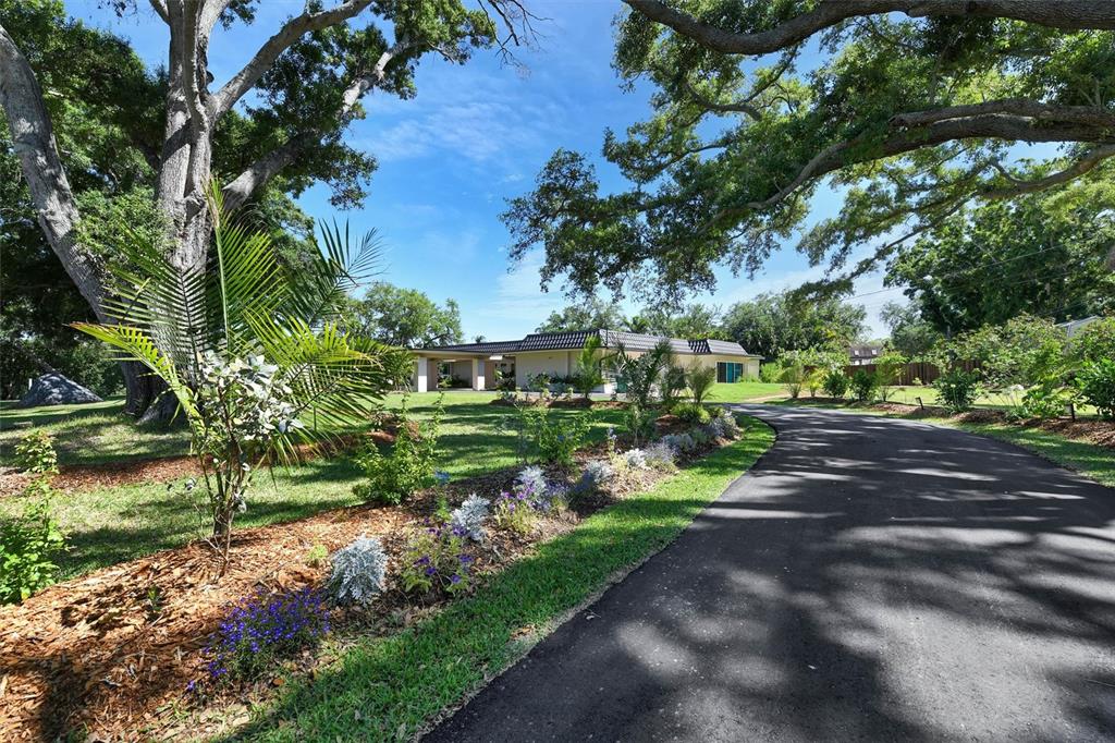 1875 Belleair Road Clearwater, FL 33764 - Photo 7 of 100