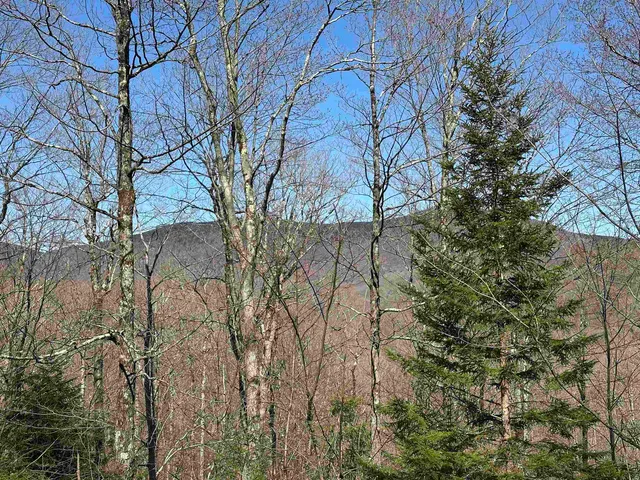 $99,000 | 0 Ice Pond Road, Pittsford, VT 05763