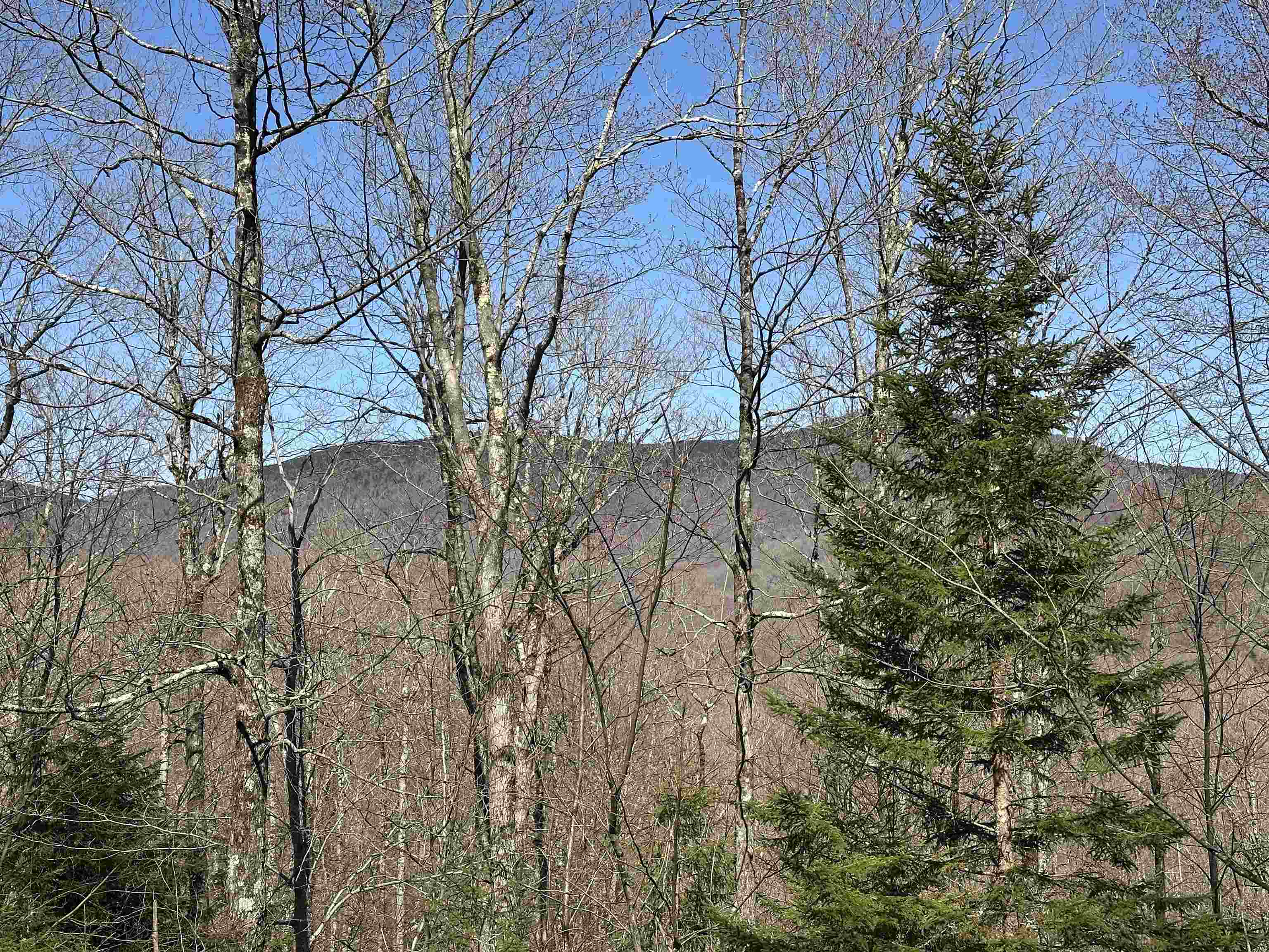 0 Ice Pond Road Pittsford, VT 05763 - Photo 1 of 58