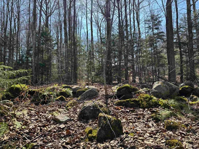$99,000 | 0 Ice Pond Road, Pittsford, VT 05763