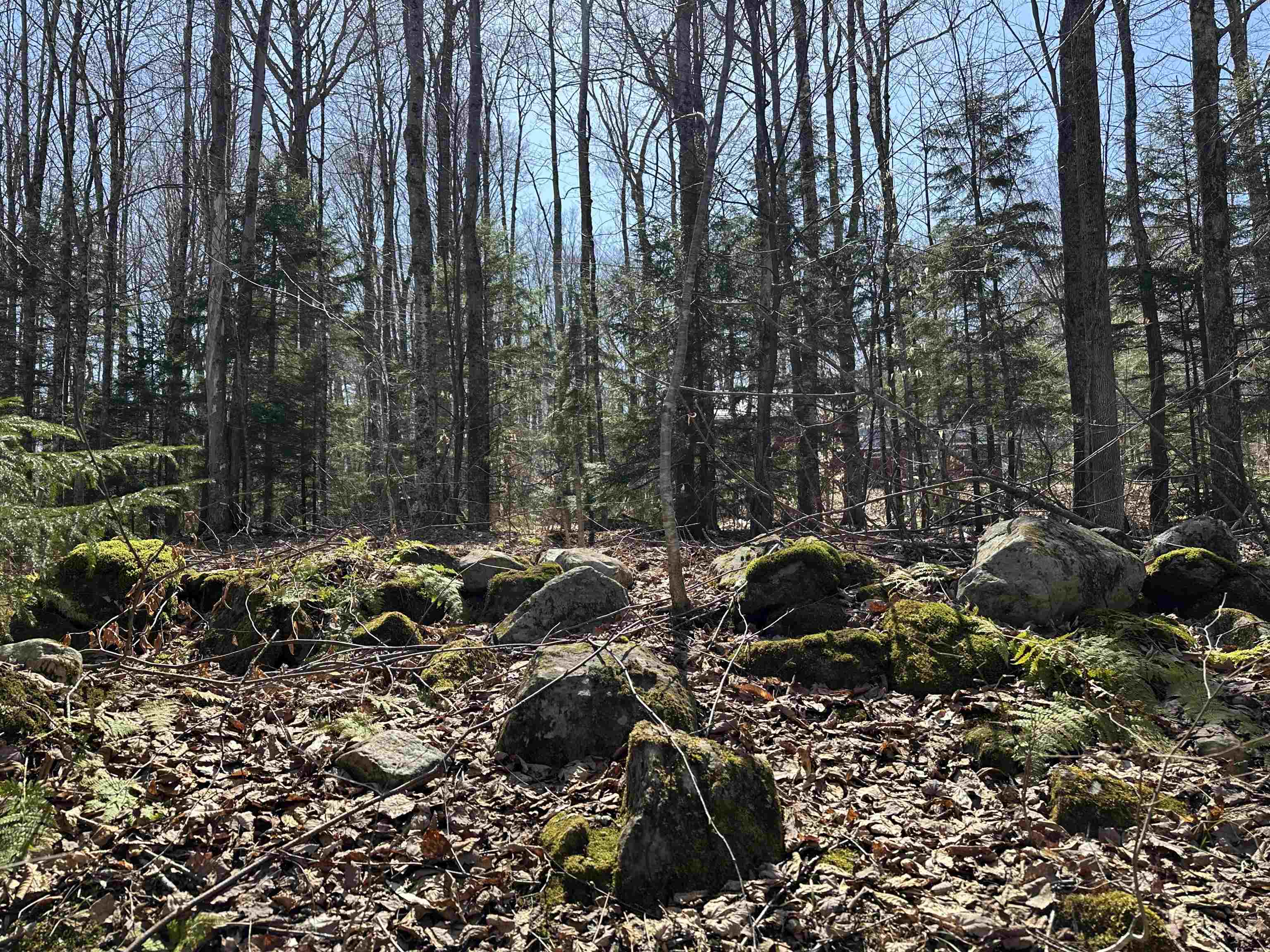 0 Ice Pond Road Pittsford, VT 05763 - Photo 16 of 58