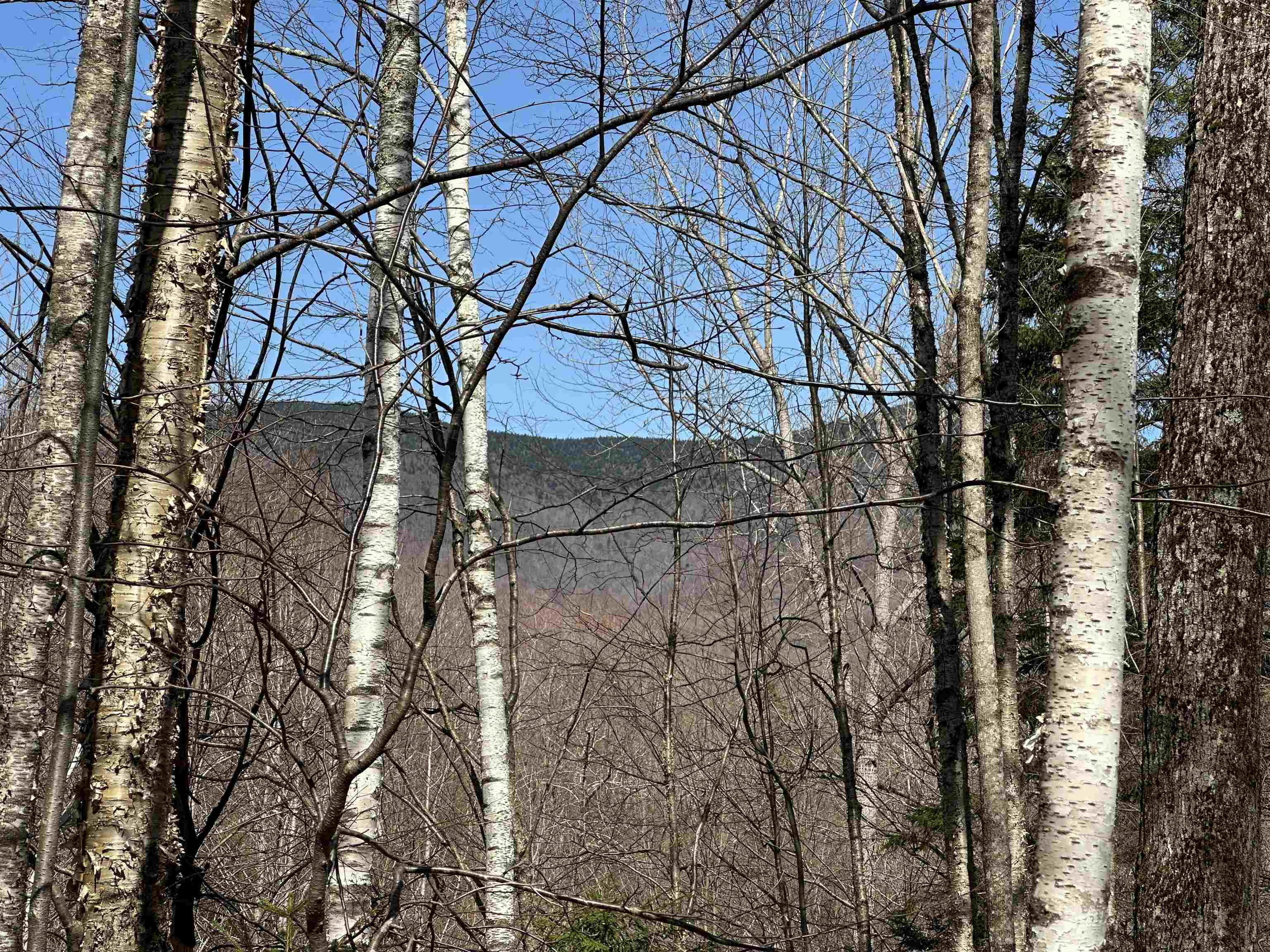 0 Ice Pond Road Pittsford, VT 05763 - Photo 20 of 58